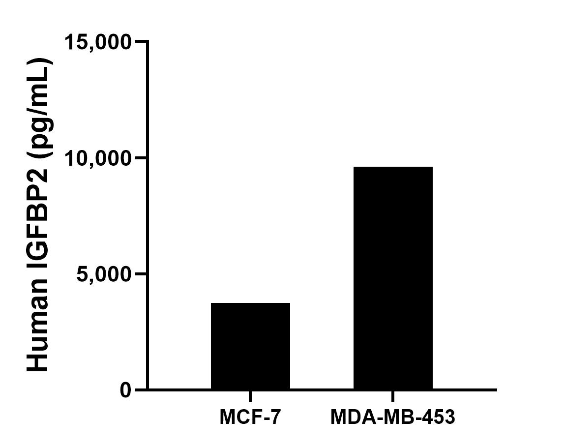Sample test of MP00322-2